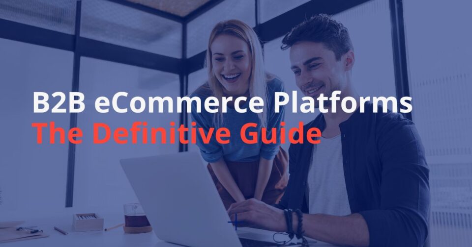 B2b ecommerce platforms: the definitive guide 3