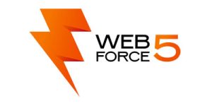 web-force-5-b2b-service-provider-300x150