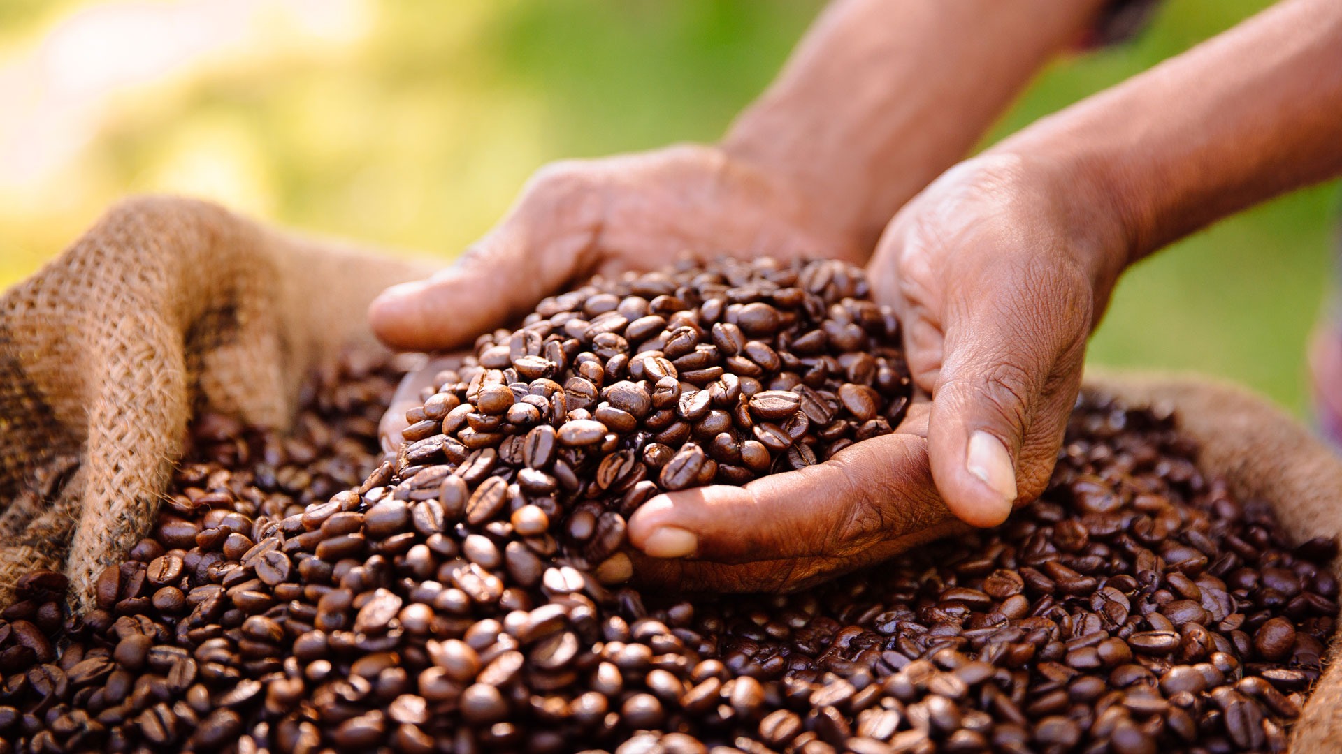 Community Coffee Wins 2024 Best Newcomer Award in B2B eCommerce 1