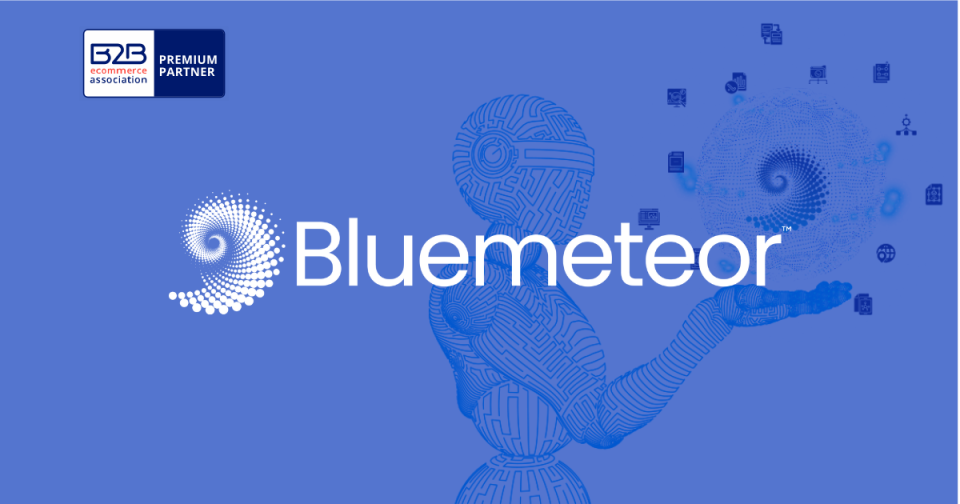 bluemeteor premium partner