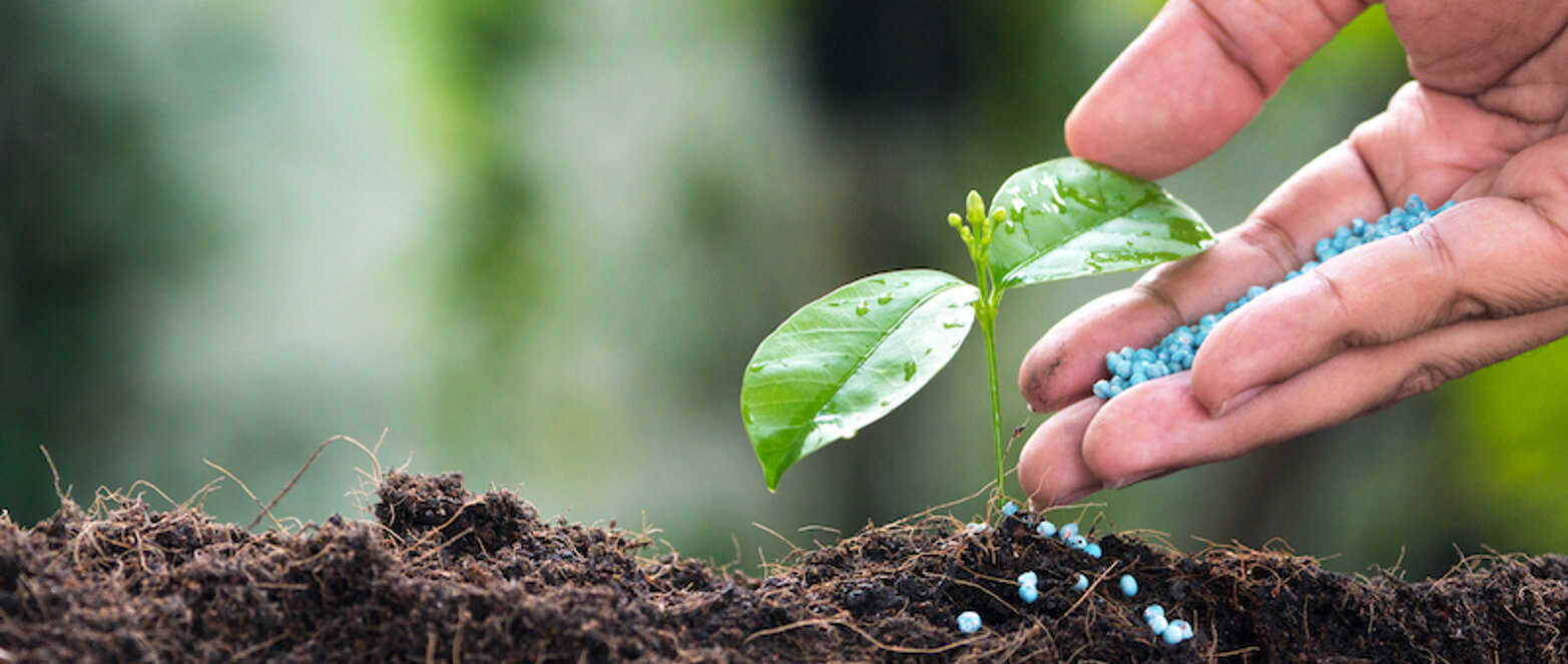 How ICL Scaled Digital Sales Across 20 Countries Without Losing Local Touch 14