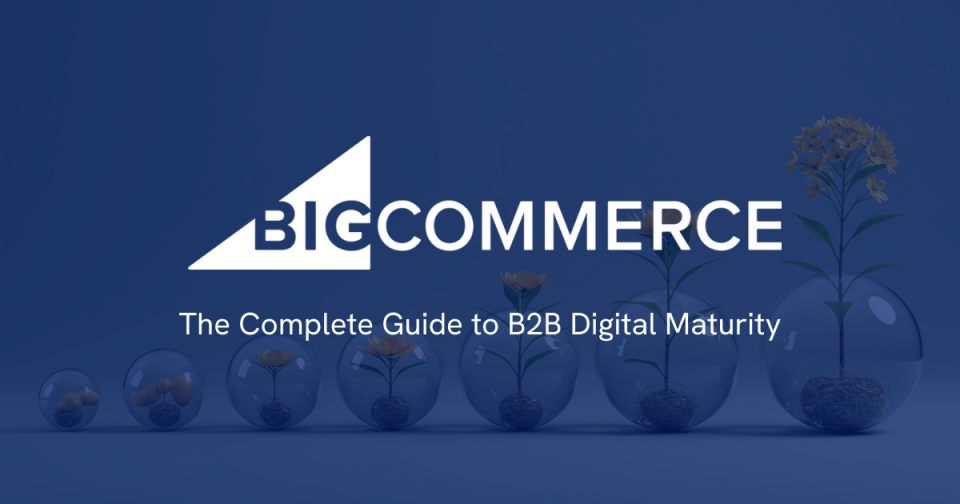 The Complete Guide to B2B Digital Maturity 6 big commerce - The Complete Guide to B2B Digital Maturity