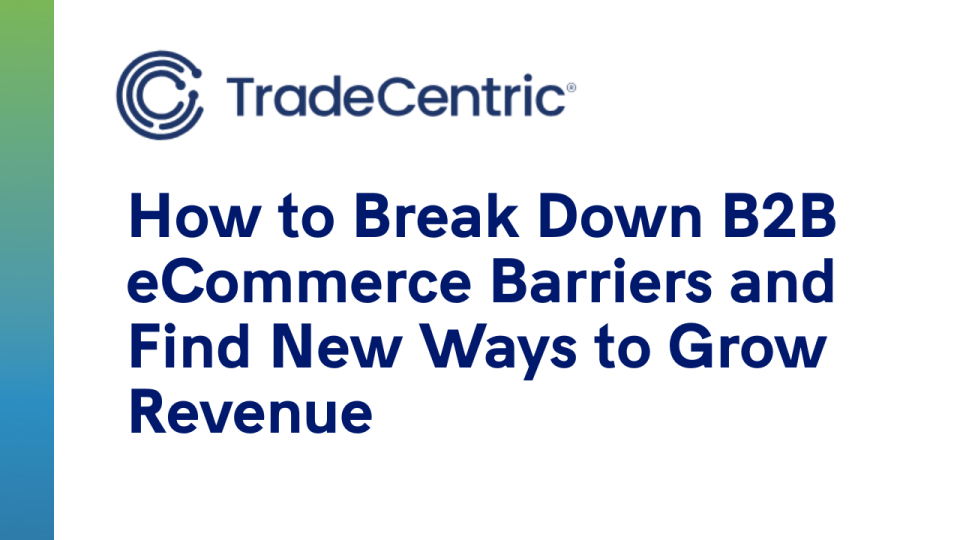How to Break Down B2B eCommerce Barriers and Find New Ways to Grow Revenue 16 banner text: How to Break Down B2B eCommerce Barriers and Find New Ways to Grow Revenue