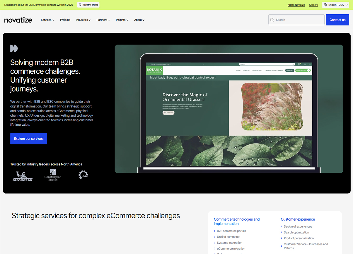 Novatize homepage screenshot Novatize Homepage-screenshot