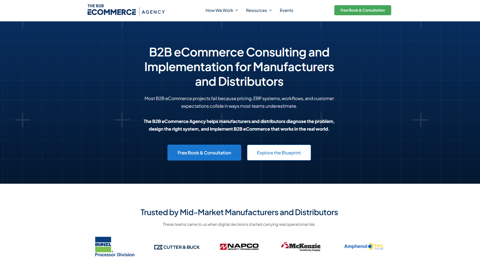 The B2B eCommerce Agency homepage screenshot The B2B eCommerce Agency homepage screenshot