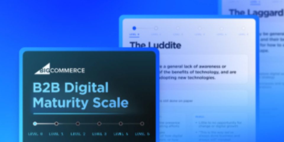 B2B Digital Maturity Assessment 15 B2B Digital Maturity Scale - Image
