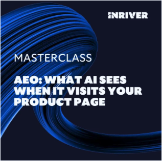 Inriver Masterclass: AEO: What AI Sees When It Visits Your Product Page 35